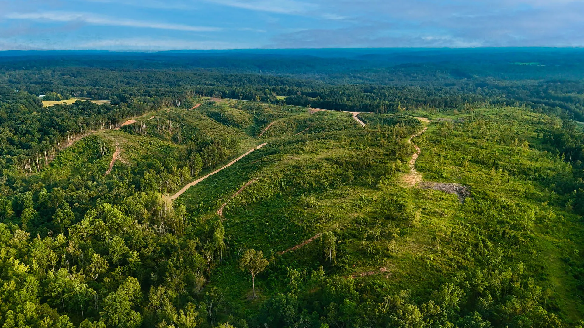 Old Hatchie Bend — 18 Lots, Alcorn County, Mississippi