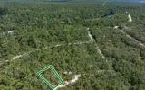 Residential private land by Suwannee River