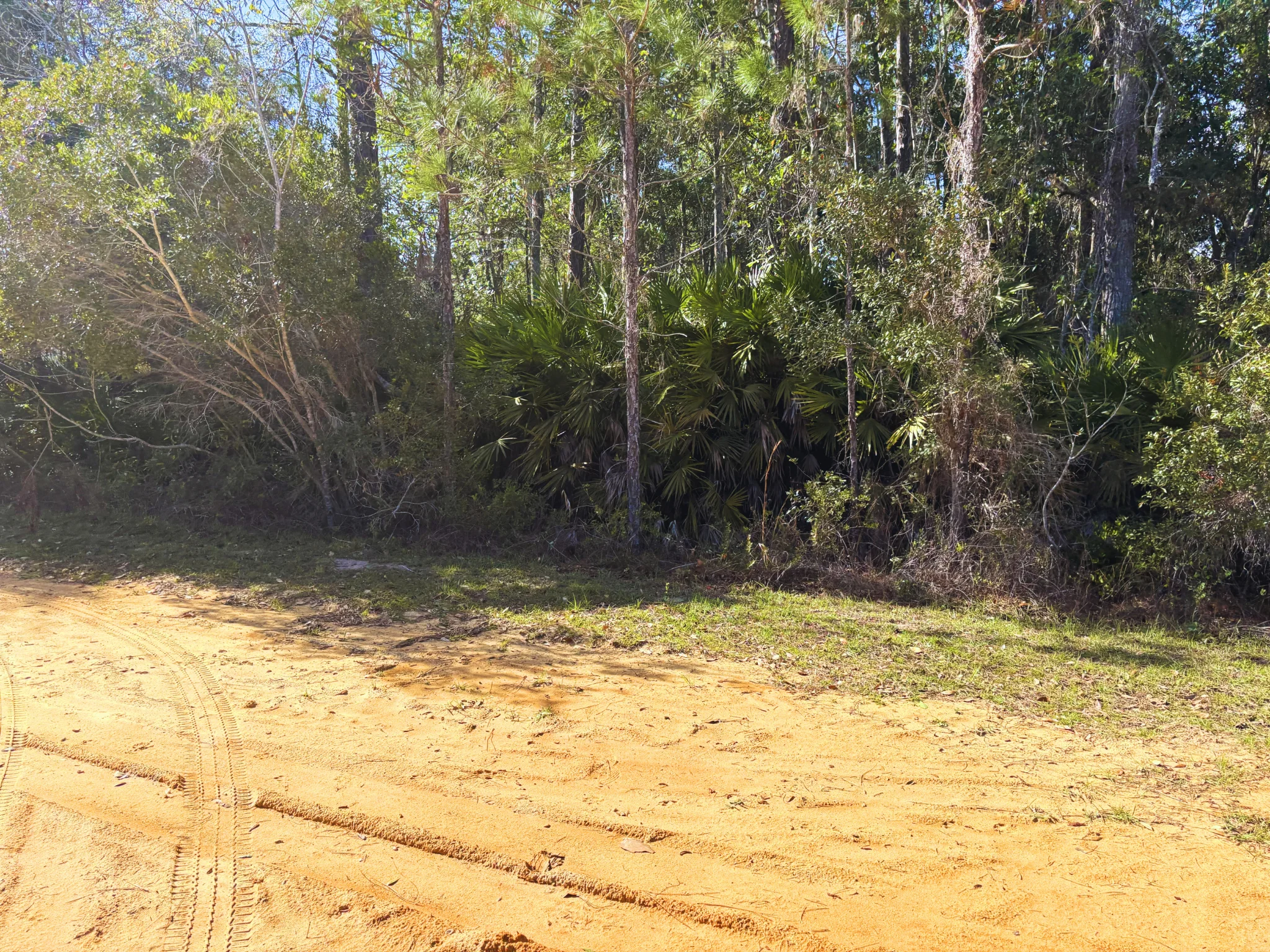 Own Florida Dirt for Cheaper than Car
