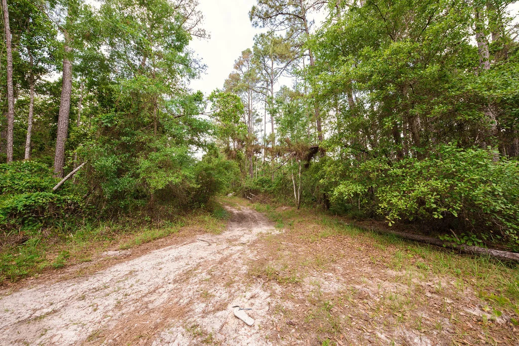 Buy .46 Acres w/o Breaking the Bank