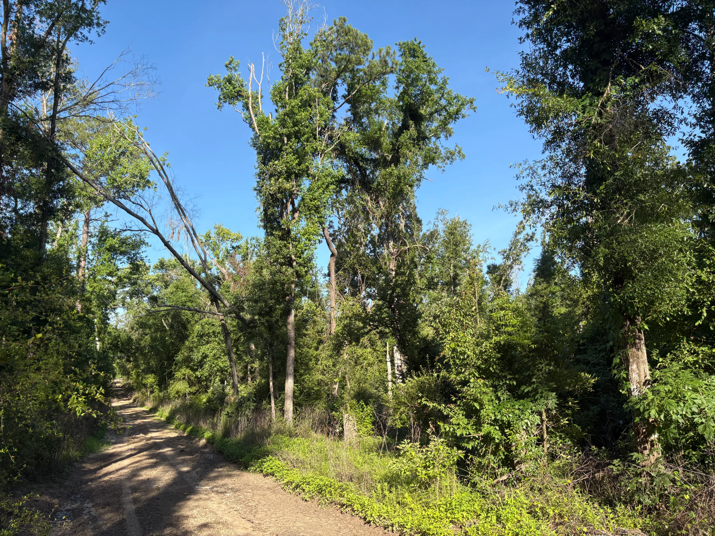 Your Family's Weekend Basecamp in North Florida