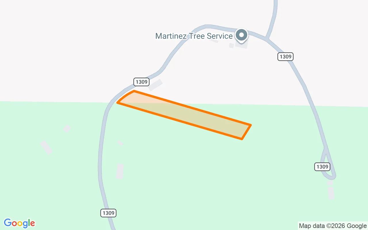 1.5 Acres in Pittsburg - Camp County, TX in Camp County, Texas
