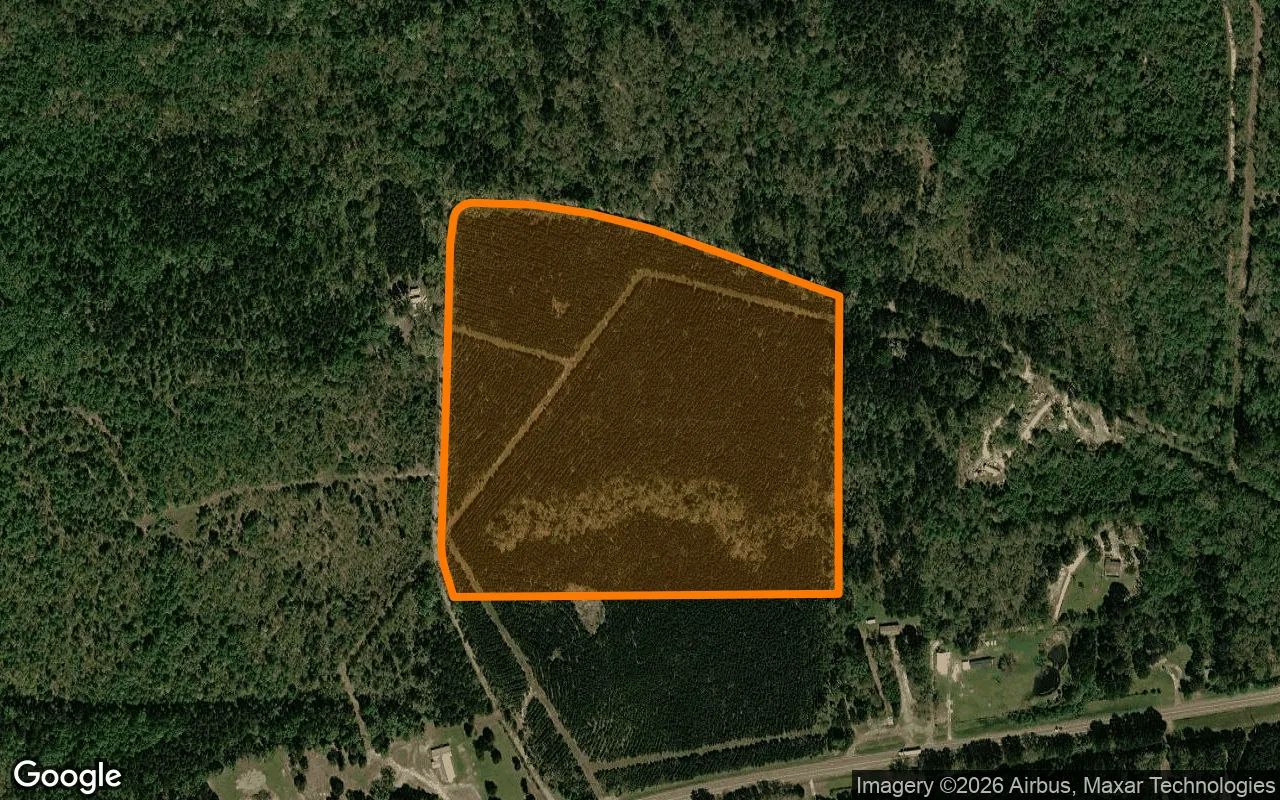 35 Acres in Cass - Cass County, TX in Cass County, Texas