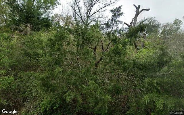 0.55 Acres in Somerville - Burleson County, TX in Burleson County, Texas