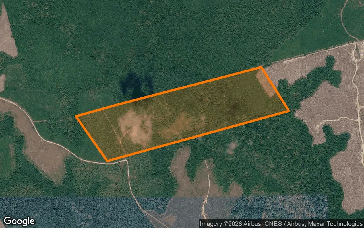 123.24 Acres in Newton - Newton County, TX in Newton County, Texas