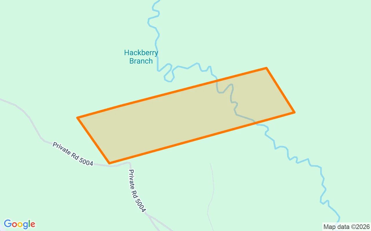 123.24 Acres in Newton - Newton County, TX in Newton County, Texas