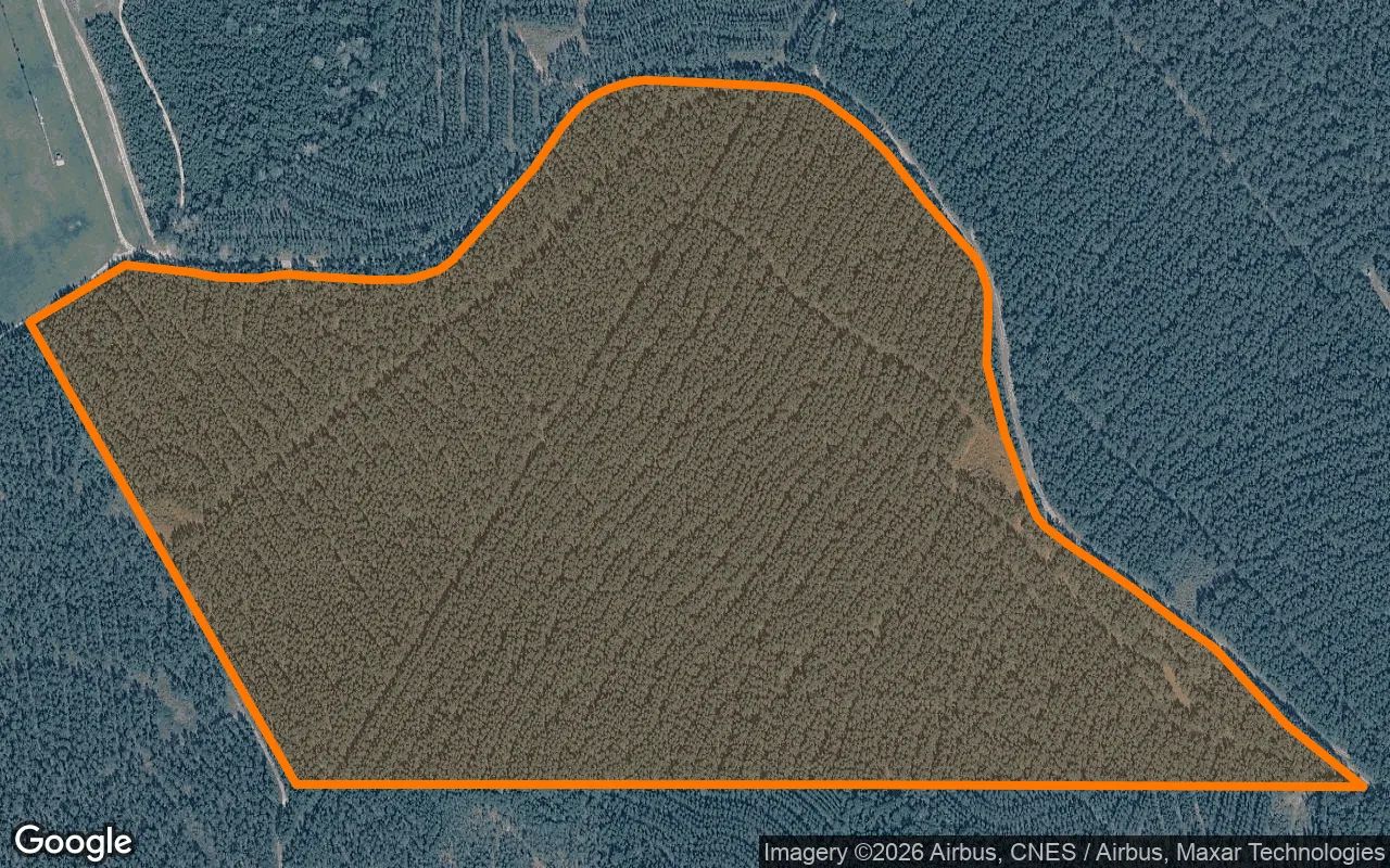 123.09 Acres in Newton - Newton County, TX in Newton County, Texas