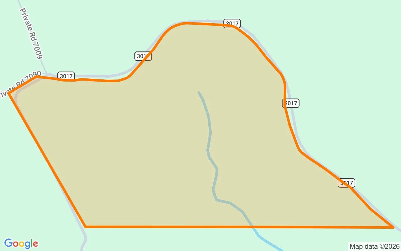 123.09 Acres in Newton - Newton County, TX in Newton County, Texas