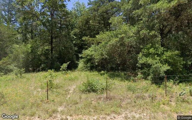 0.55 Acres in Sealy - Austin County, TX in Austin County, Texas