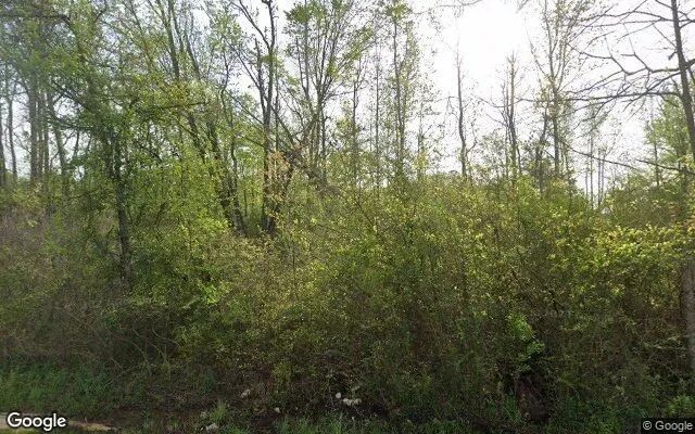 0.55 Acres in Cherokee - Cherokee County, TX in Cherokee County, Texas