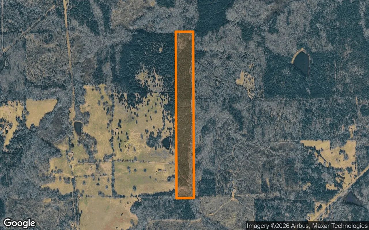 34.94 Acres in Jefferson - Marion County, TX in Marion County, Texas