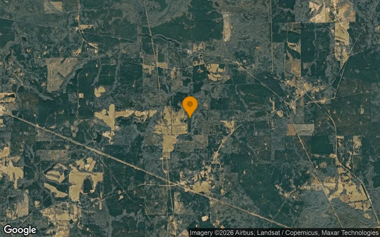 34.94 Acres in Jefferson - Marion County, TX in Marion County, Texas