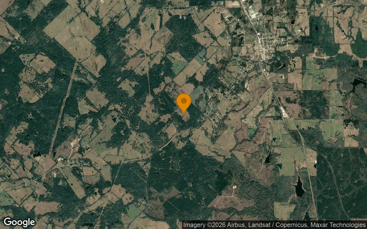34.99 Acres in Lovelady - Houston County, TX in Houston County, Texas