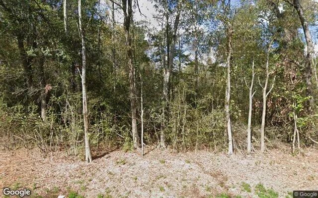 34.99 Acres in Lovelady - Houston County, TX in Houston County, Texas