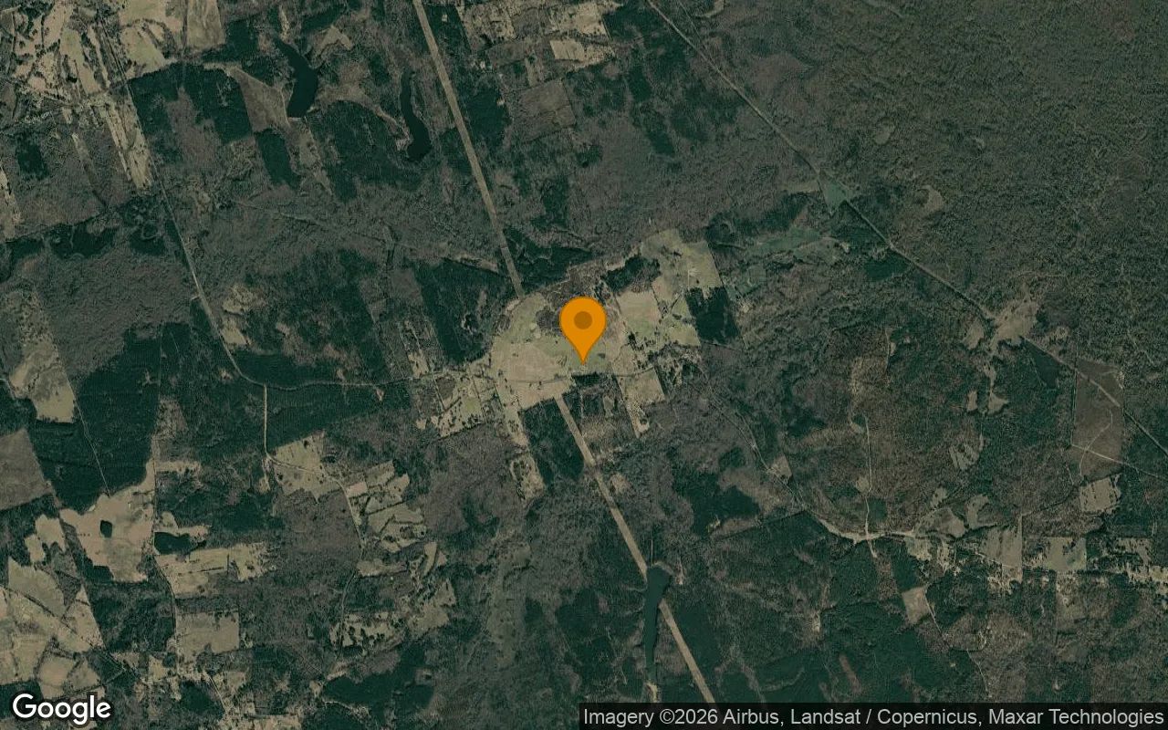 1.5 Acres in Pittsburg - Camp County, TX in Camp County, Texas