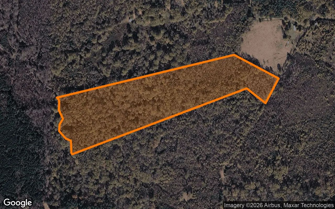 35.03 Acres in Daingerfield - Morris County, TX in Morris County, Texas
