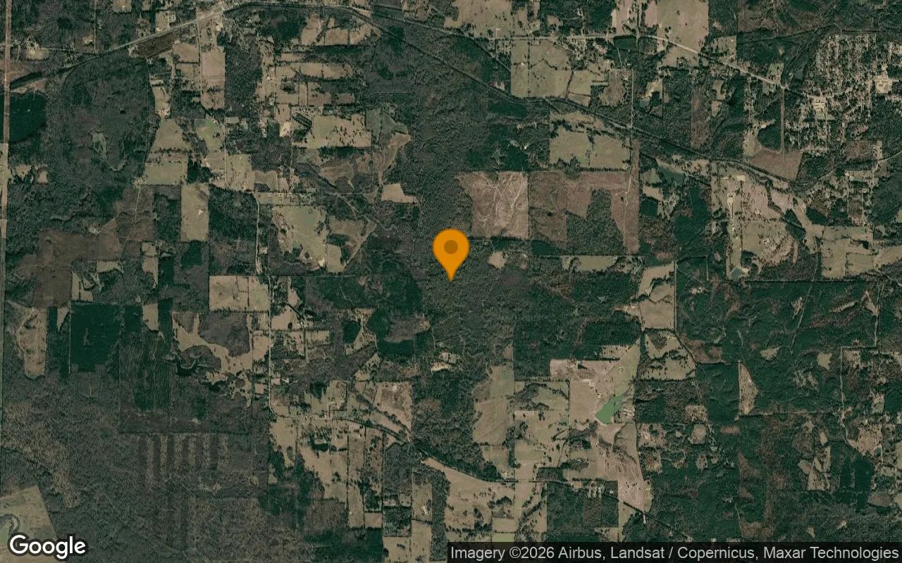 35.03 Acres in Daingerfield - Morris County, TX in Morris County, Texas