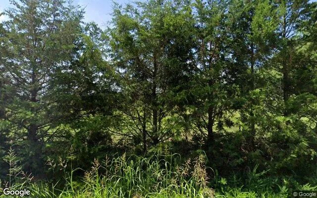 1.5 Acres in Lone Oak - Rains County, TX in Rains County, Texas