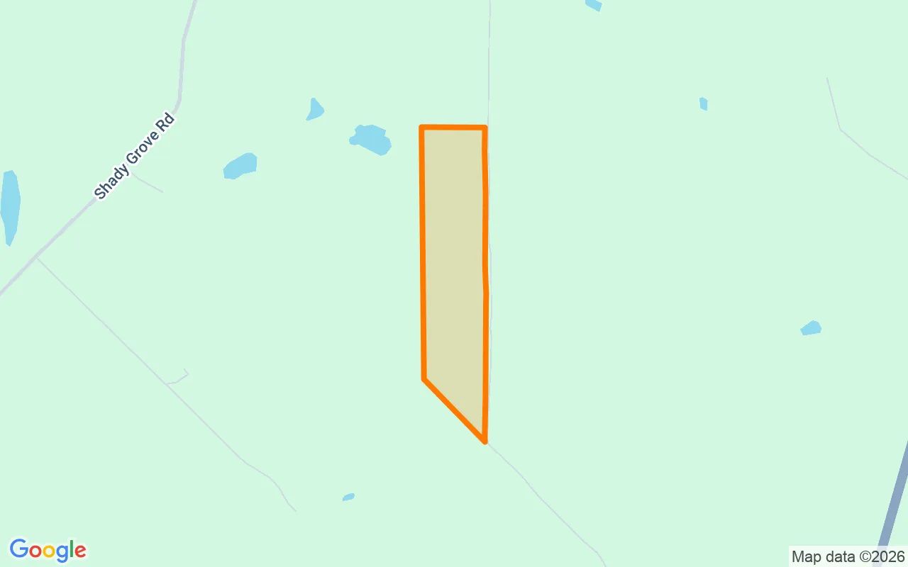 35.03 Acres in Jefferson - Marion County, TX in Marion County, Texas