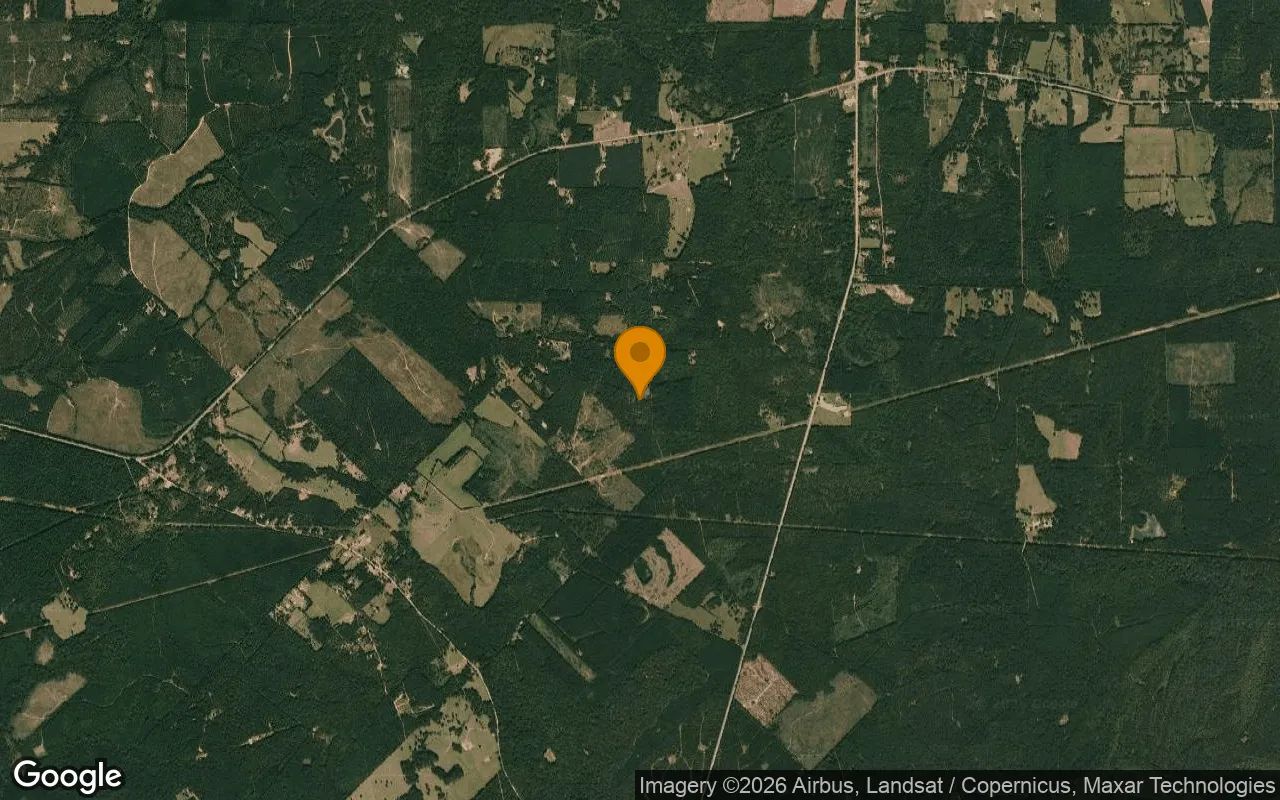 35.03 Acres in Jefferson - Marion County, TX in Marion County, Texas