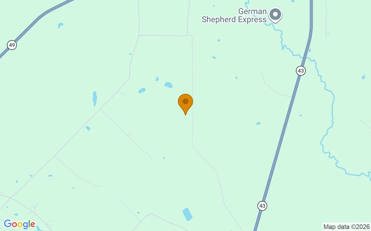 35.03 Acres in Jefferson - Marion County, TX in Marion County, Texas