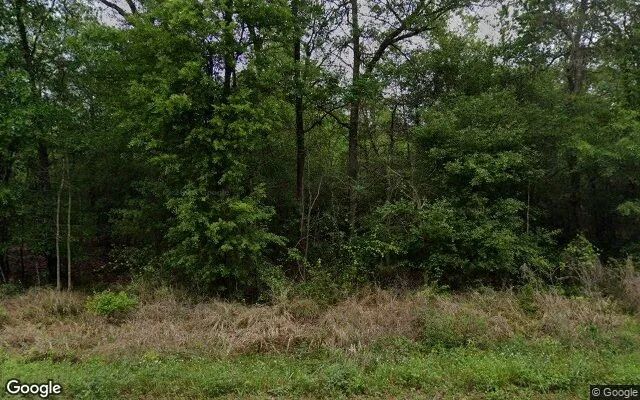 0.55 Acres in Livingston - Polk County, TX in Polk County, Texas