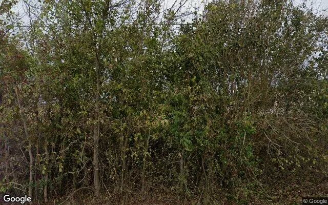 0.55 Acres in Kyle - Hays County, TX in Hays County, Texas