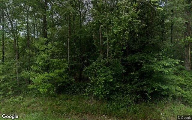 0.55 Acres in Shepherd - San Jacinto County, TX in San Jacinto County, Texas