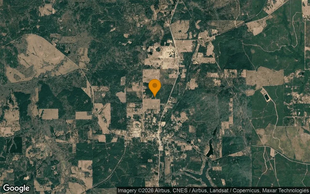 15.01 Acres in Colmesneil - Tyler County, TX in Tyler County, Texas