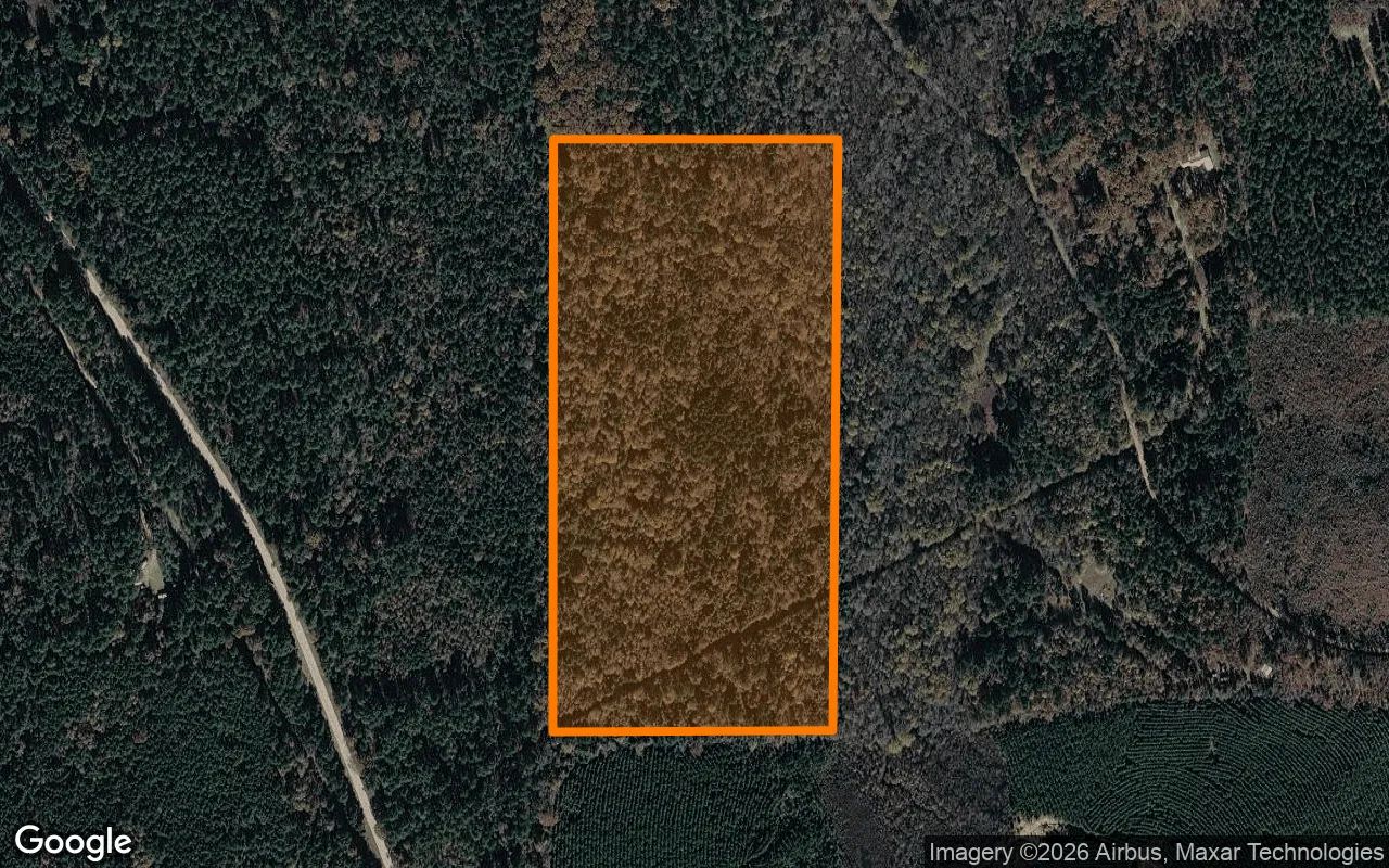 35.04 Acres in Linden - Cass County, TX in Cass County, Texas