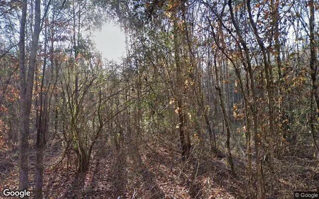35.04 Acres in Linden - Cass County, TX in Cass County, Texas