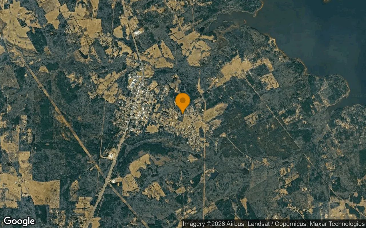 0.55 Acres in Ore City - Upshur County, TX in Upshur County, Texas