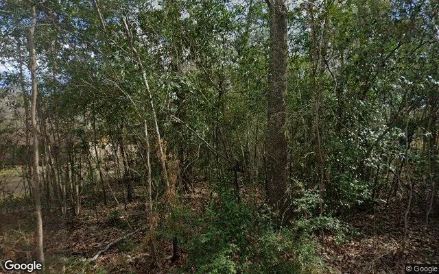 0.55 Acres in Kountze - Hardin County, TX in Hardin County, Texas