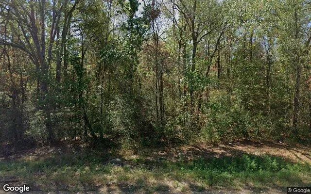 34.95 Acres in Shelbyville - Shelby County, TX in Shelby County, Texas