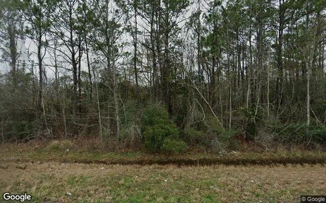 124.03 Acres in Orange - Newton County, TX in Newton County, Texas
