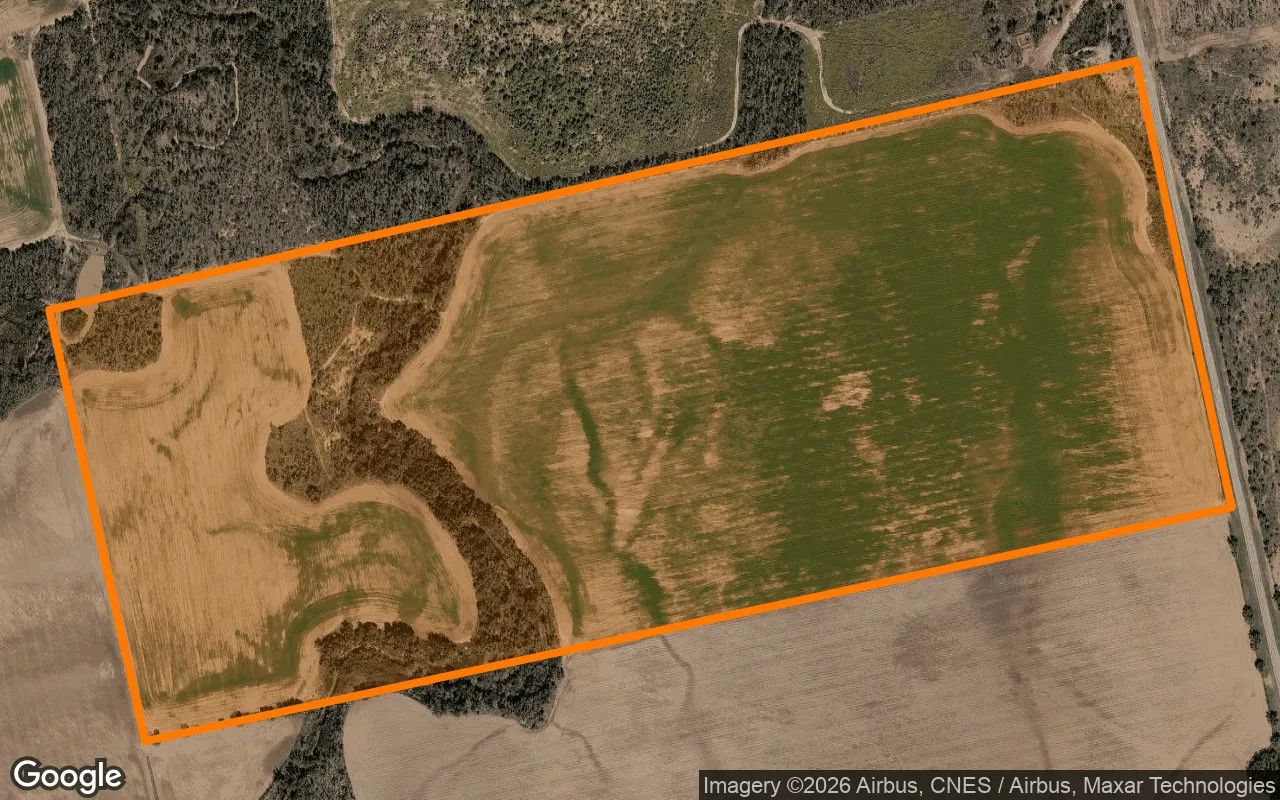 124.74 Acres in Jones - Jones County, TX in Jones County, Texas