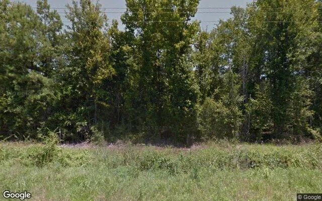 34.98 Acres in De Berry - Panola County, TX in Panola County, Texas