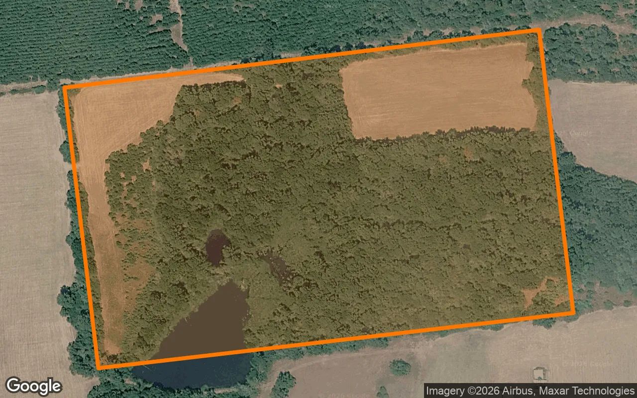 34.99 Acres in Grapeland - Houston County, TX in Houston County, Texas