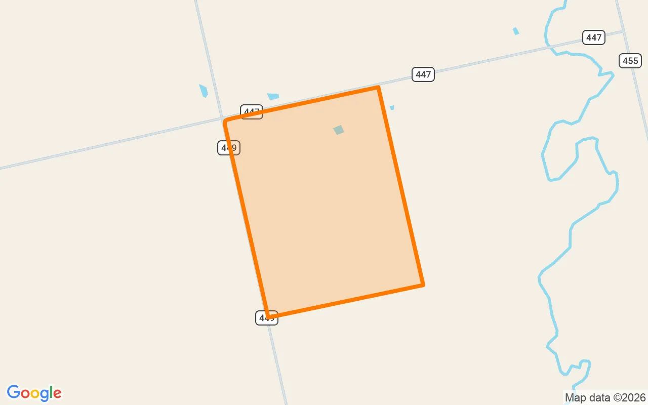 124.77 Acres in Jones - Jones County, TX in Jones County, Texas