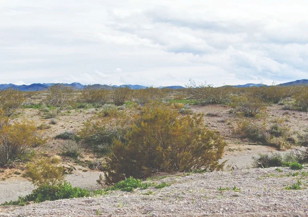 Mohave, AZ - 350-12-137 in Mohave County, Arizona