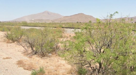 Hudspeth, TX - R66288 in Hudspeth County, TX
