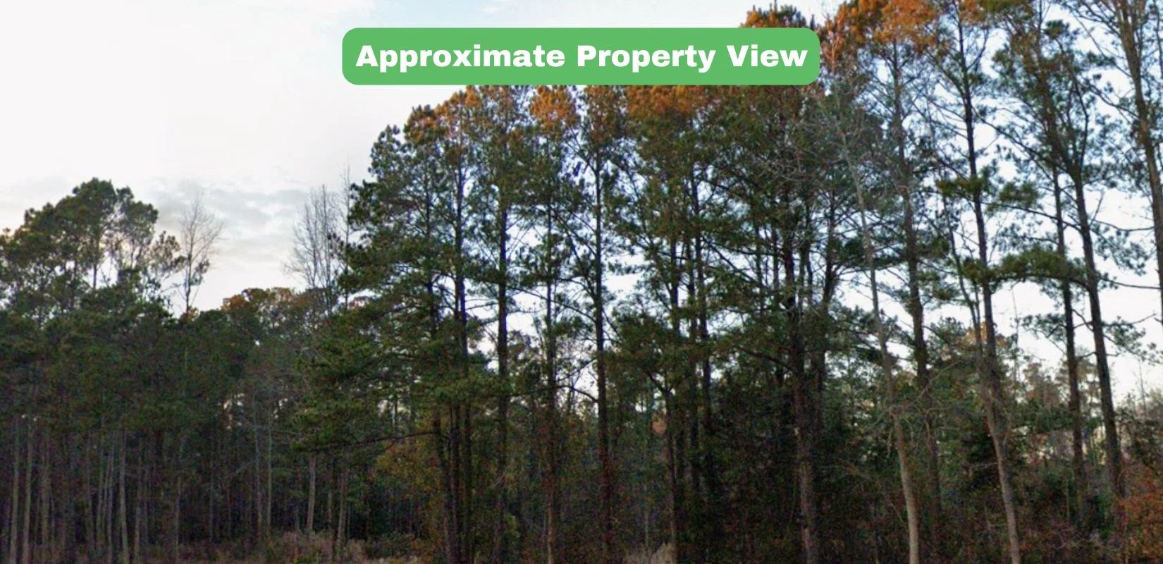 3.43 Acres of Land for Sale in Pender County, NC in Pender County, NC