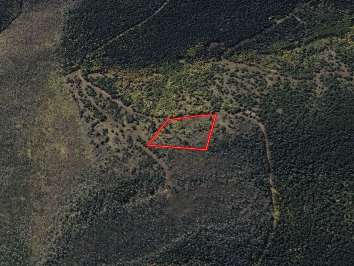 3.206 Acres in CO NOW – Unbelievable Price, Won’t Last! in Costilla County, CO
