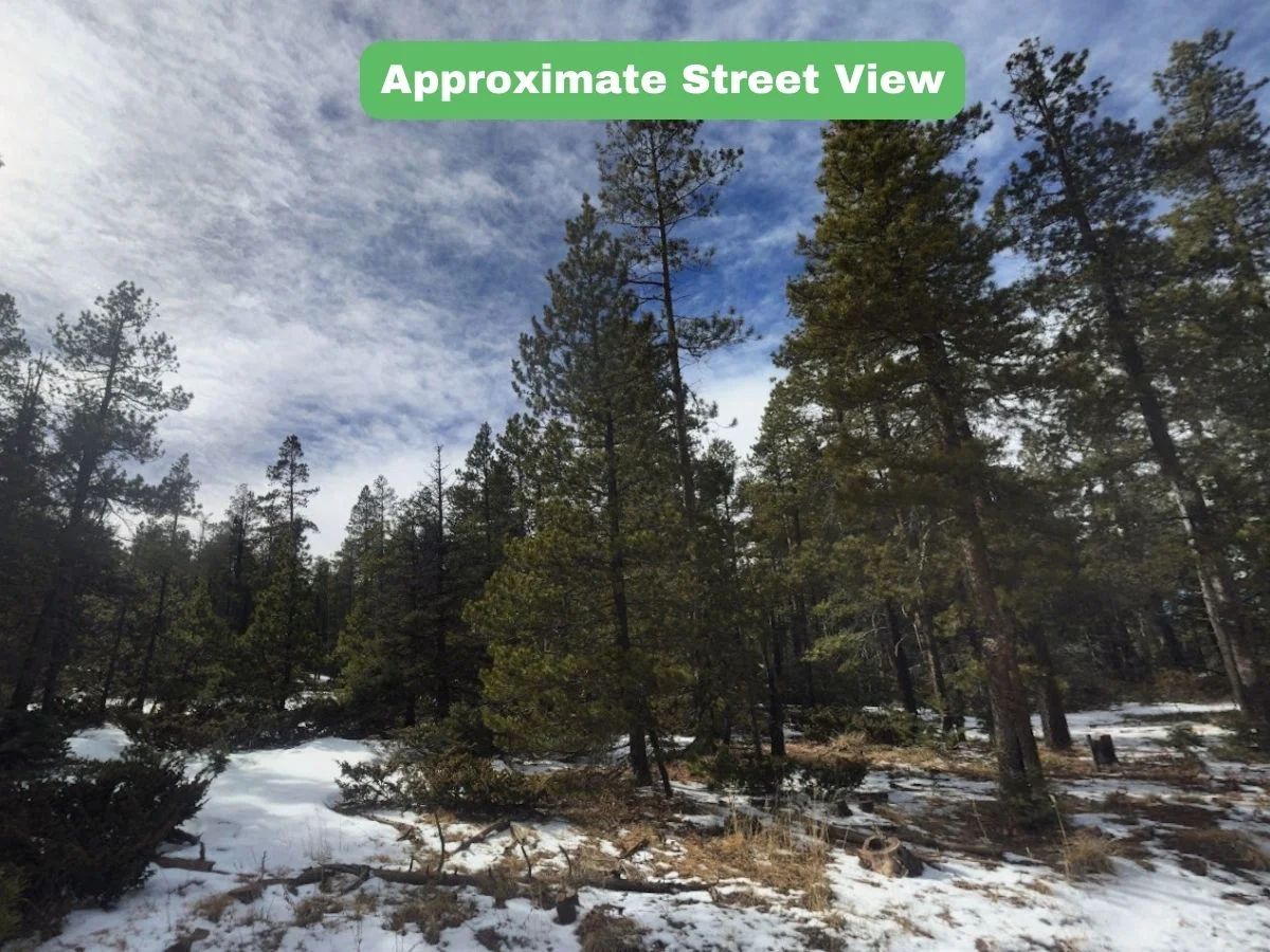 3.206 Acres in CO NOW – Unbelievable Price, Won’t Last! in Costilla County, CO