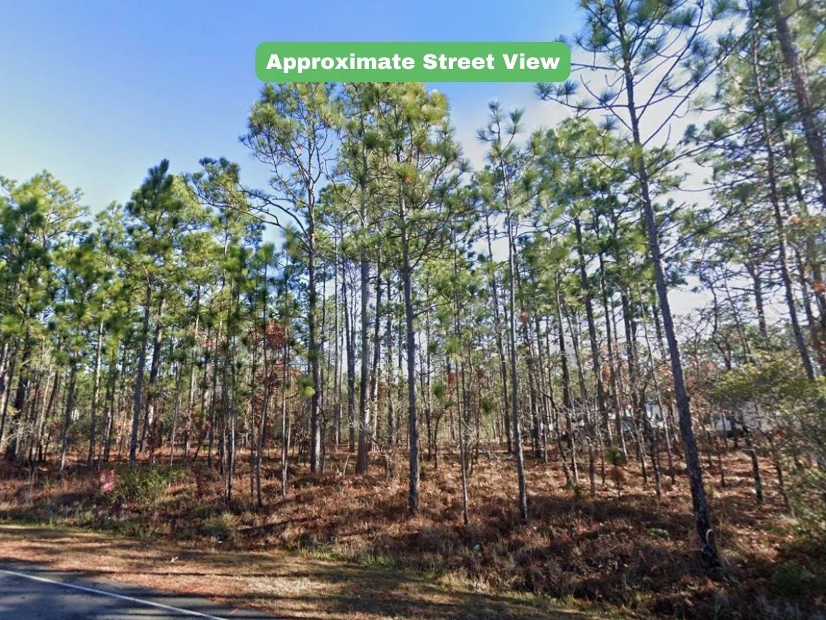 Brunswick, NC - 157ac073 in Brunswick County, NC