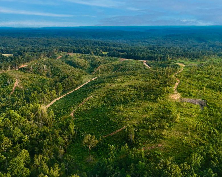 Old Hatchie Bend — 18 Lots, Alcorn County, Mississippi in Alcorn County, MS