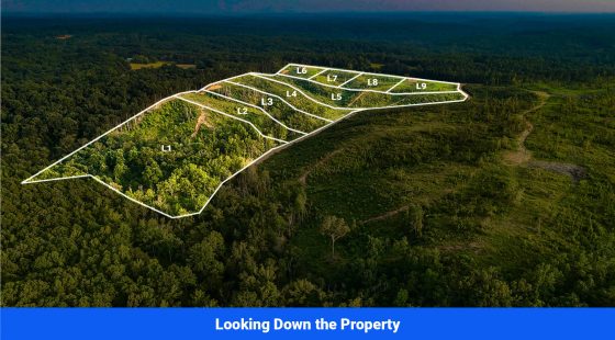 Old Hatchie Bend — 18 Lots, Alcorn County, Mississippi in Alcorn County, MS