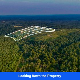 Old Hatchie Bend — 18 Lots, Alcorn County, Mississippi in Alcorn County, MS