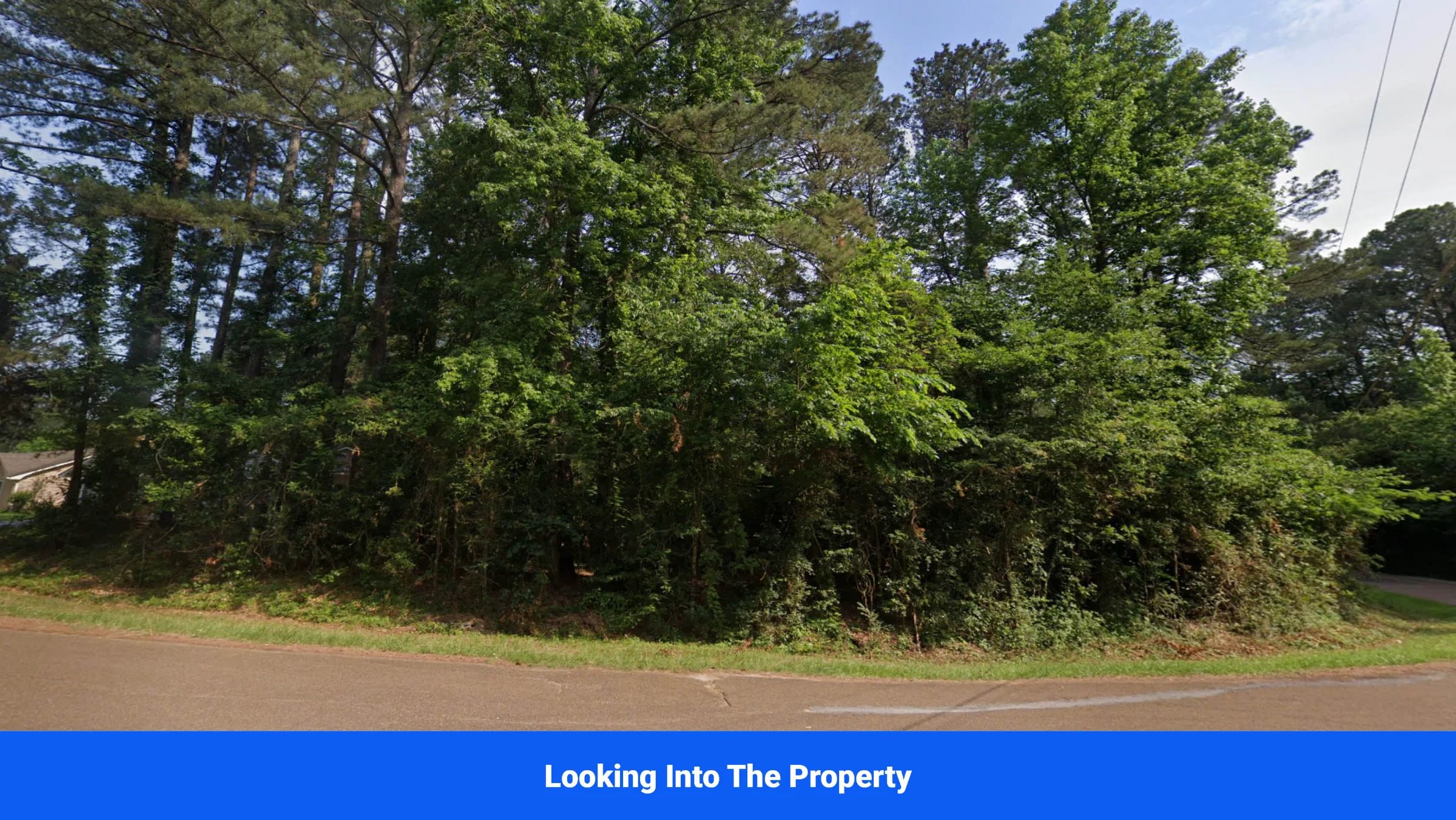 Discover Attala County’s Hidden Gem: 4 Premier Lots Offering Affordable Living and Unmatched Natural Beauty! in Attala County, MS