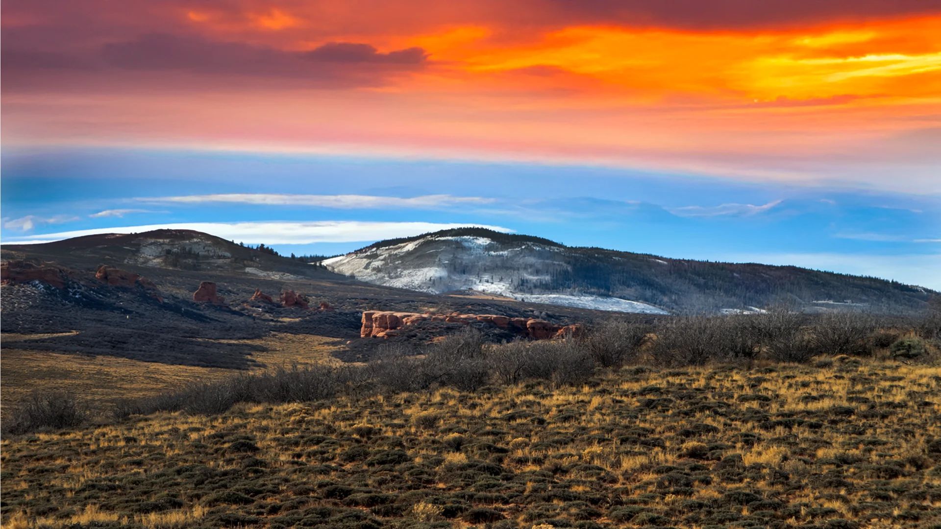 36.8 Acres Of Red Rock Majesty In Larimer County, Colorado in Larimer County, CO
